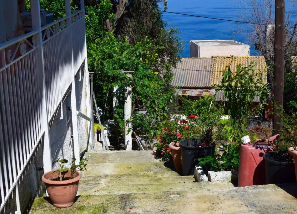 Kiki'S Beautiful House On Famous Village Pentátion エクステリア 写真