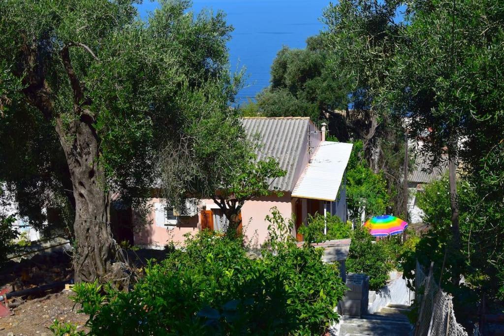 Kiki'S Beautiful House On Famous Village Pentátion エクステリア 写真
